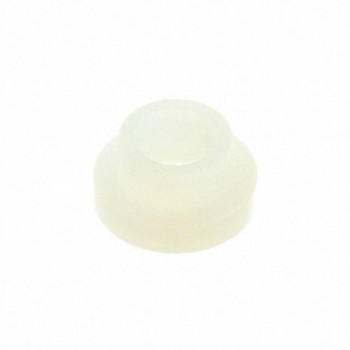 10SCM005003