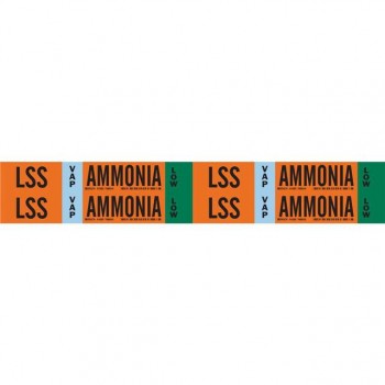 145901