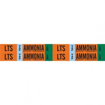 145902