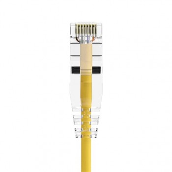 CS6A-01F-YLW