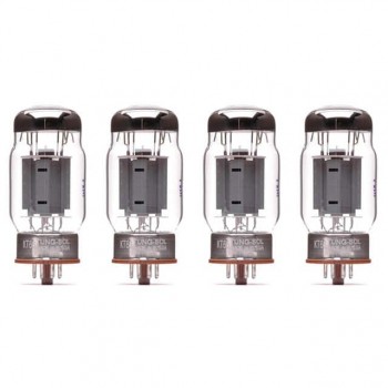 GROUPING_QUAD_TS-KT66