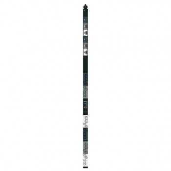 P24D43M