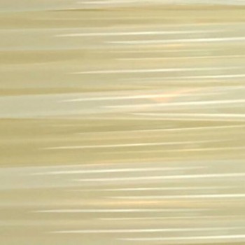 RM-PL0098