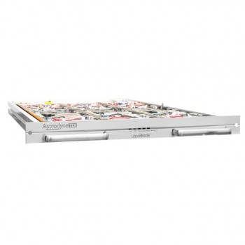 T100108057-1-LF