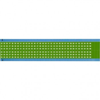 WM-34-66-GR-SC-PK