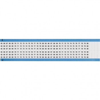 WM-65-80-DC-SC-PK